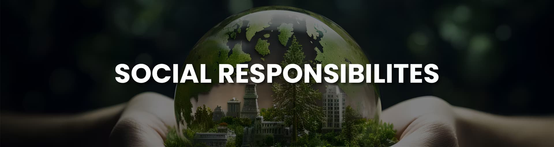 Profile Social Responsibility